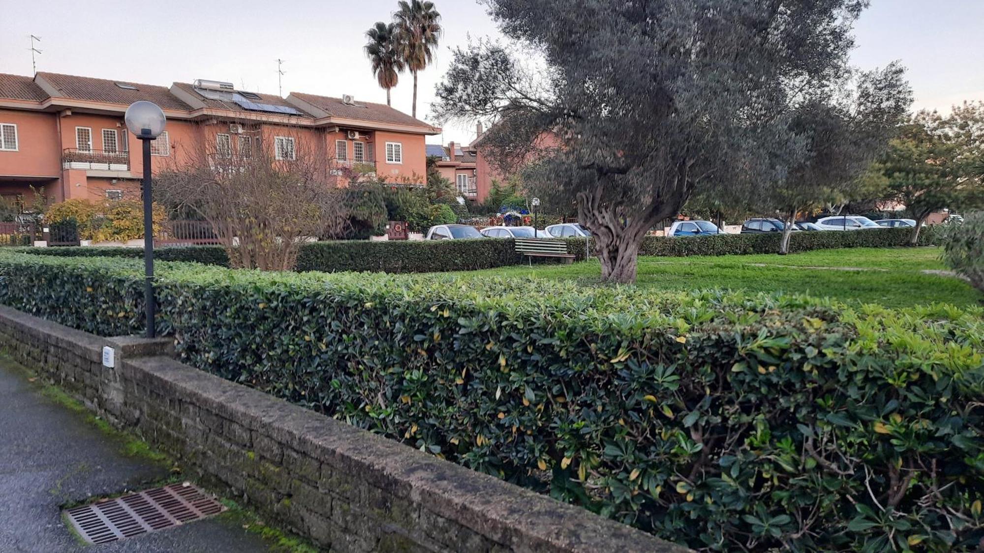 La Mattina - Fiera Di - Aeroporto Fiumicino Rom